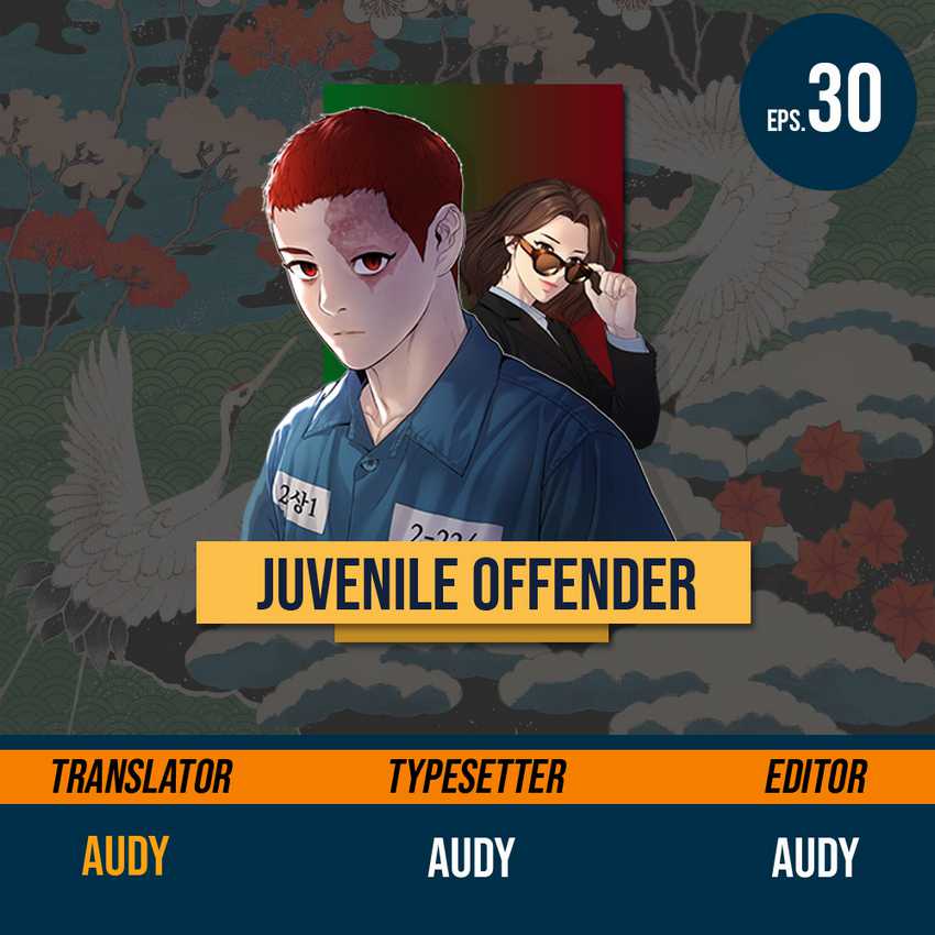 Juvenile Offender Chapter 30