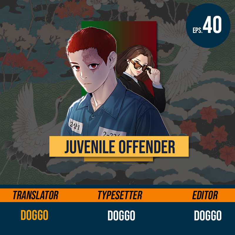 Juvenile Offender Chapter 40
