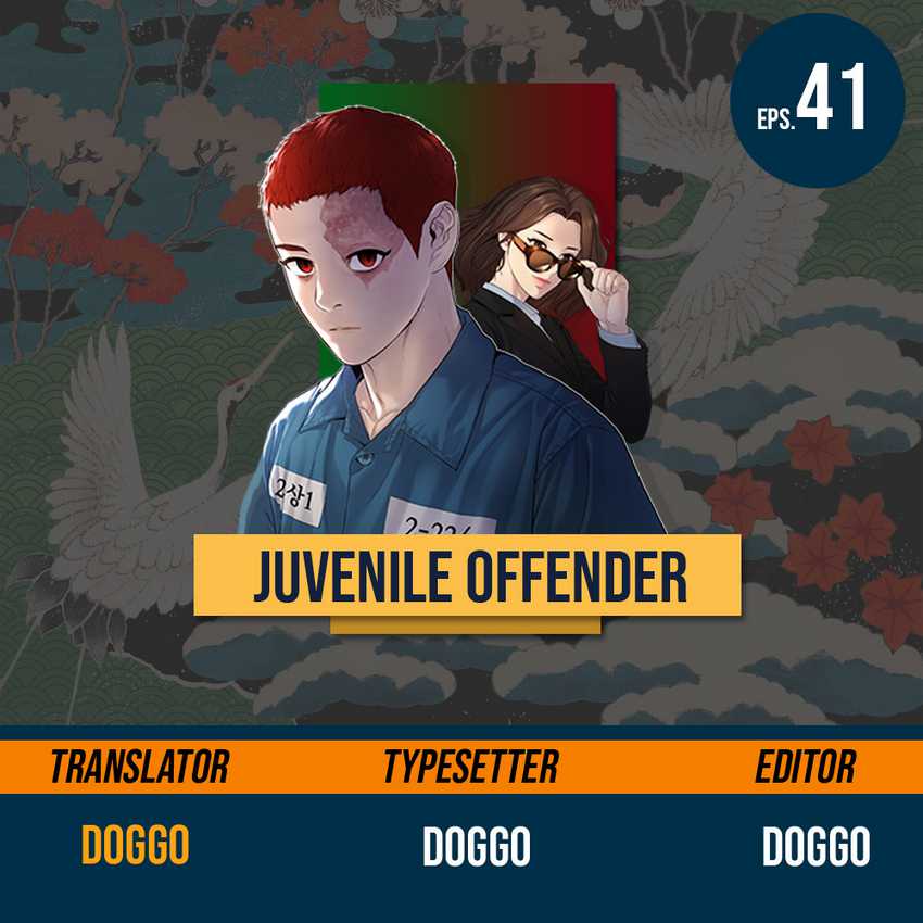 Juvenile Offender Chapter 41