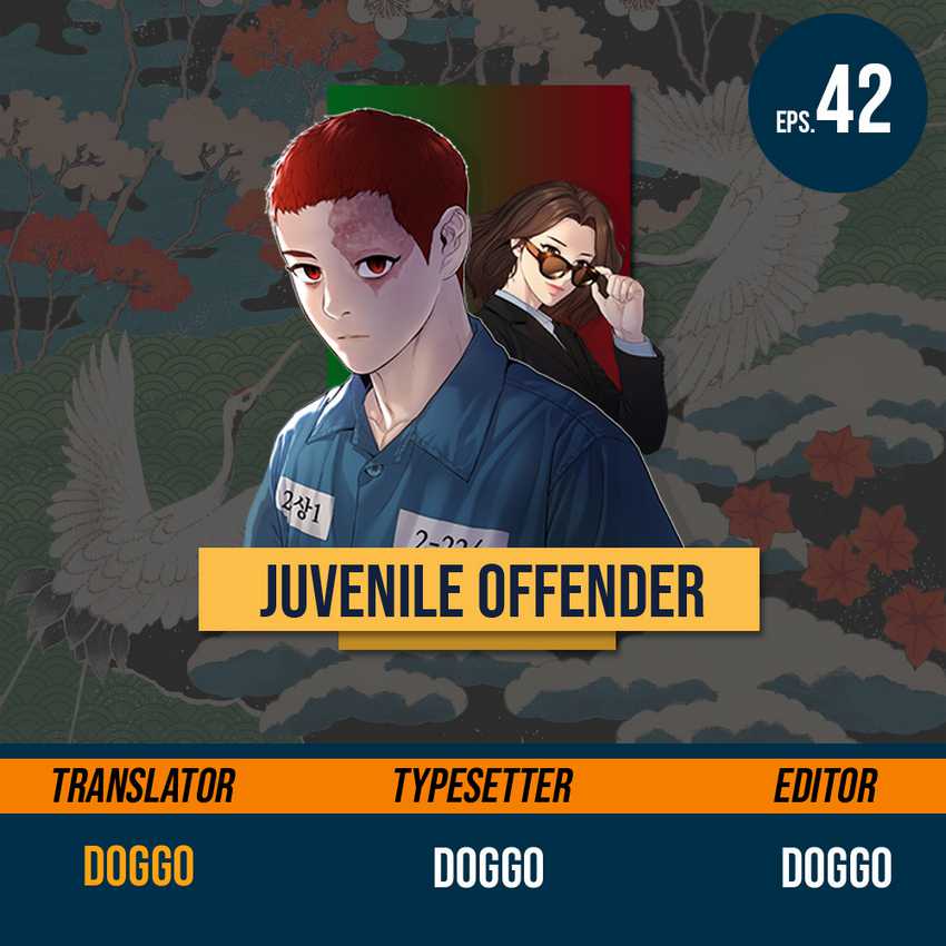 Juvenile Offender Chapter 42