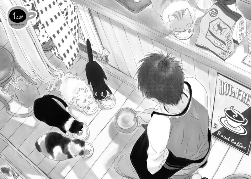 Coffee &#038; Cat Chapter 1