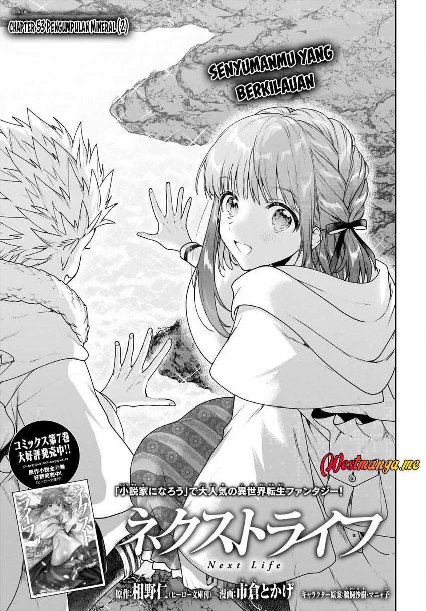 Next Life Chapter 53