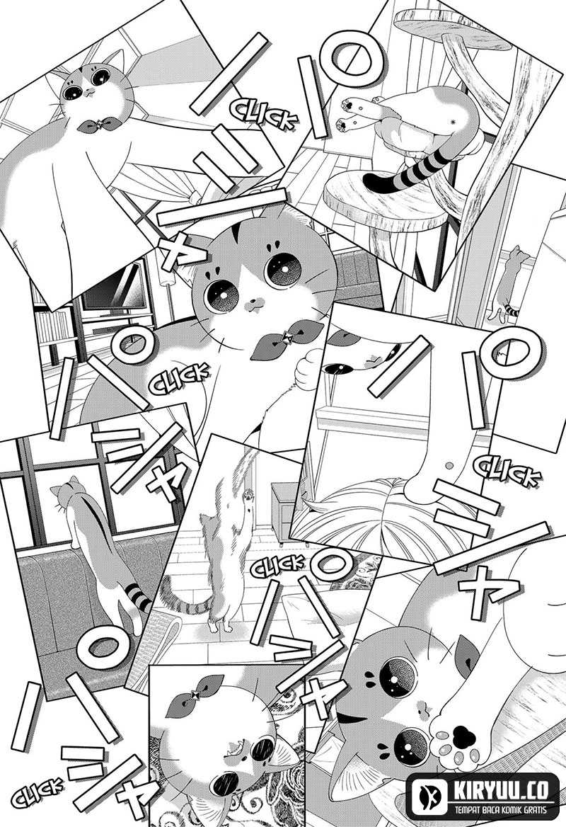 Miyaou Tarou ga Neko wo Kau Nante Chapter 19