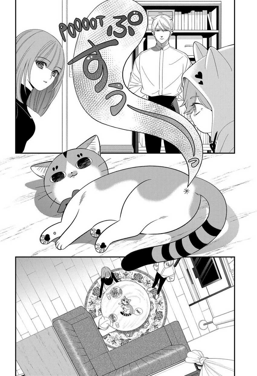 Miyaou Tarou ga Neko wo Kau Nante Chapter 20