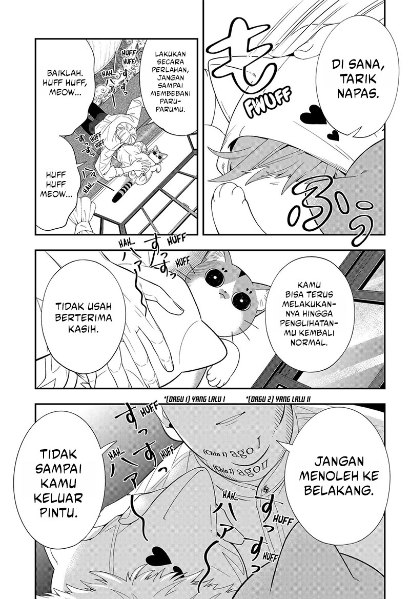 Miyaou Tarou ga Neko wo Kau Nante Chapter 22