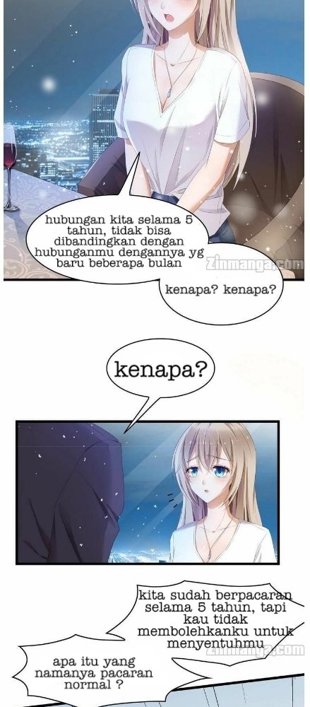 The President Lovely Wife Chapter 01