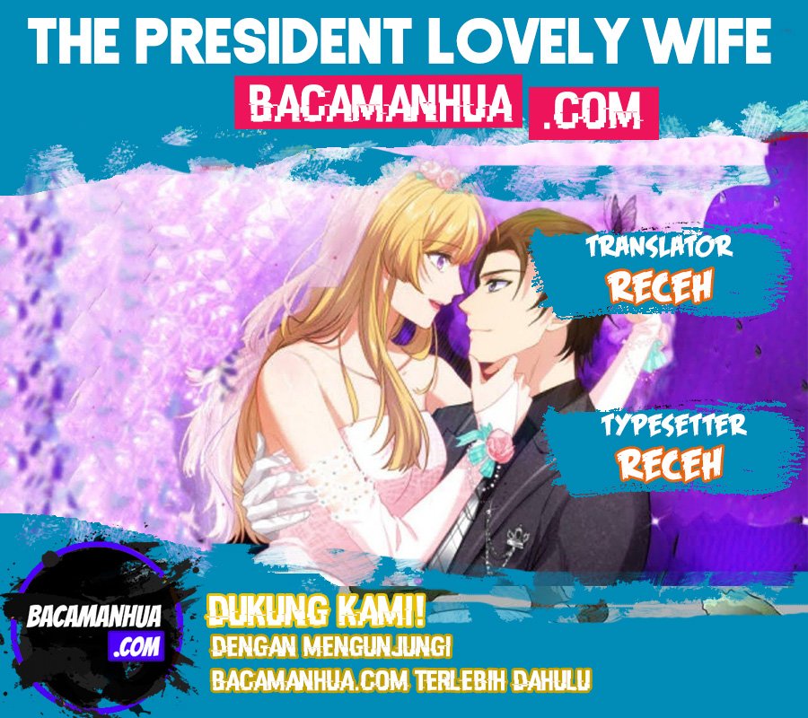 The President Lovely Wife Chapter 01