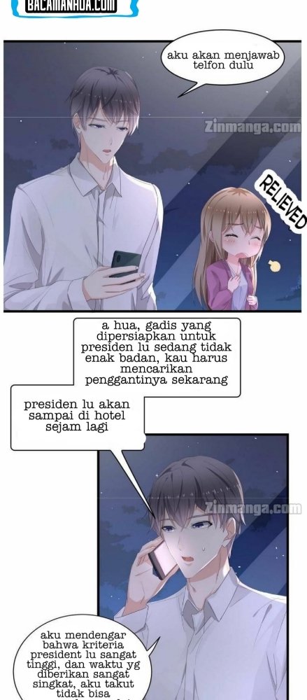 The President Lovely Wife Chapter 01