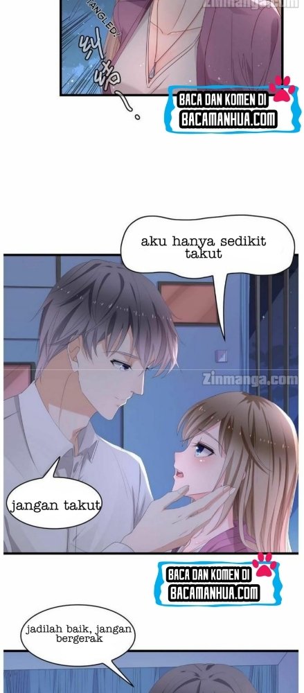 The President Lovely Wife Chapter 01