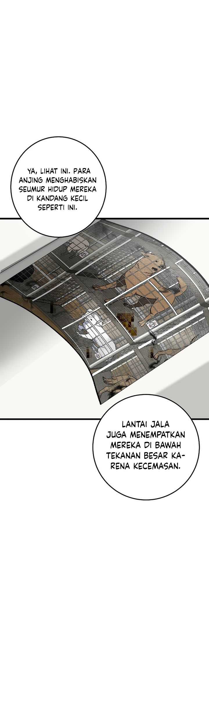 This is the Law Chapter 138