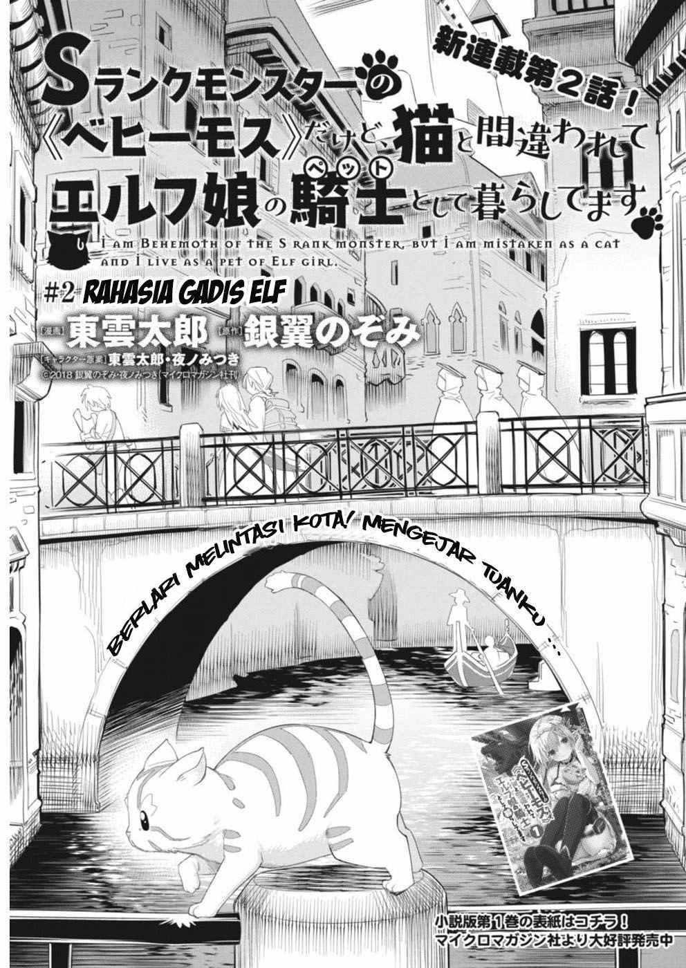 S-Rank Monster no Behemoth Dakedo, Neko to Machigawarete Erufu Musume no Kishi (Pet) Toshite Kurashitemasu Chapter 02