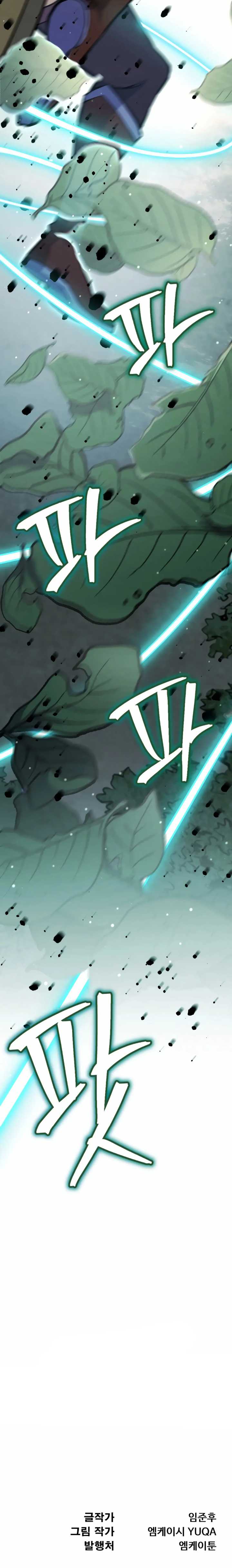 The Indomitable Wanderer Chapter 17