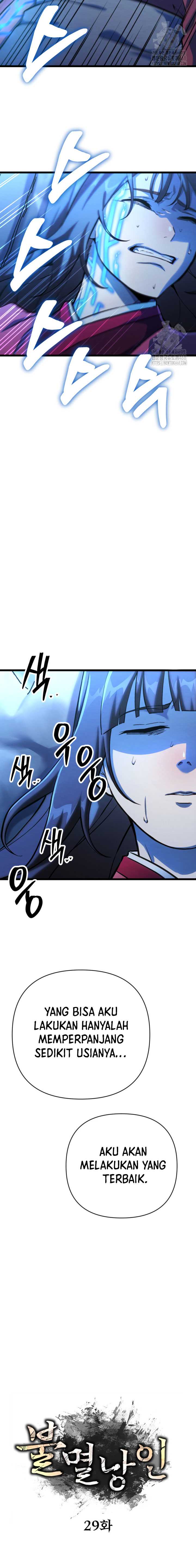 The Indomitable Wanderer Chapter 29