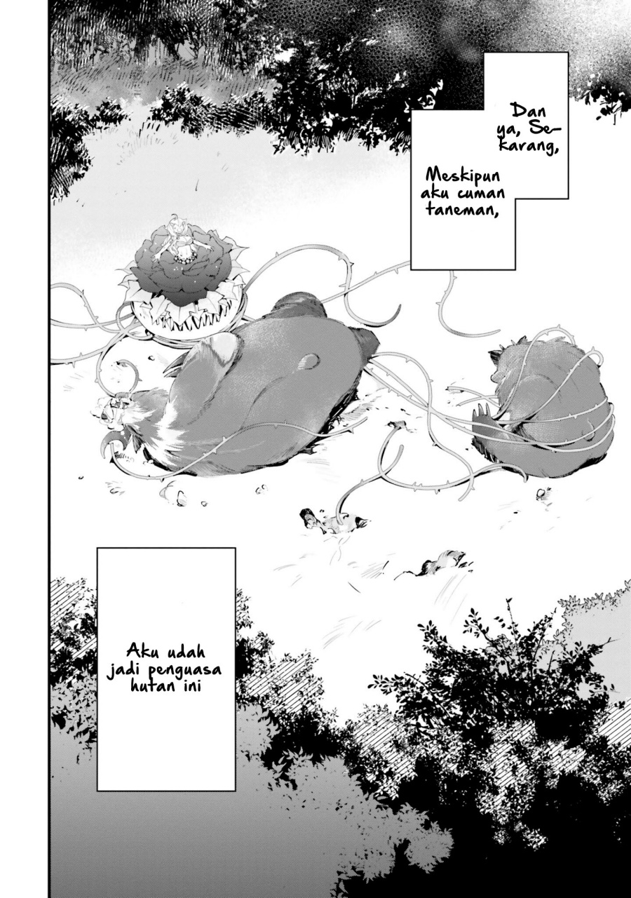 Shokubutsu Monster Musume Nikki Chapter 08