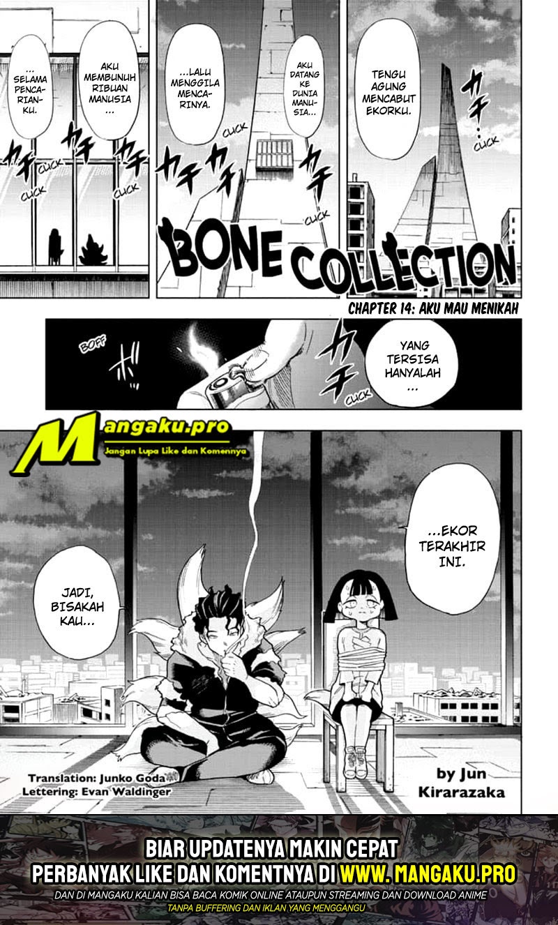 Bone Collection Chapter 14