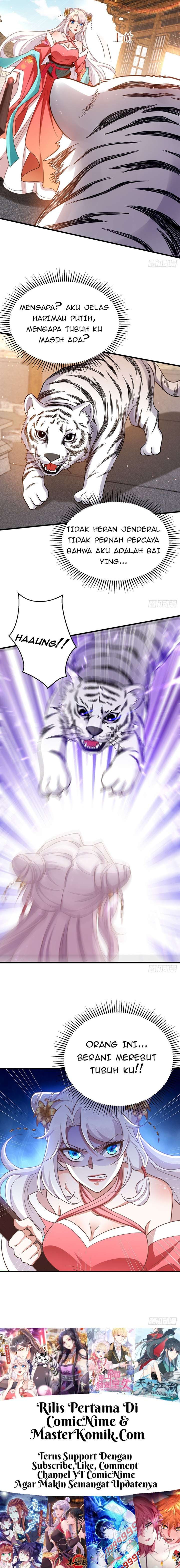 Rebirth of the Cute Tiger: Great General Wants to Hug Chapter 11