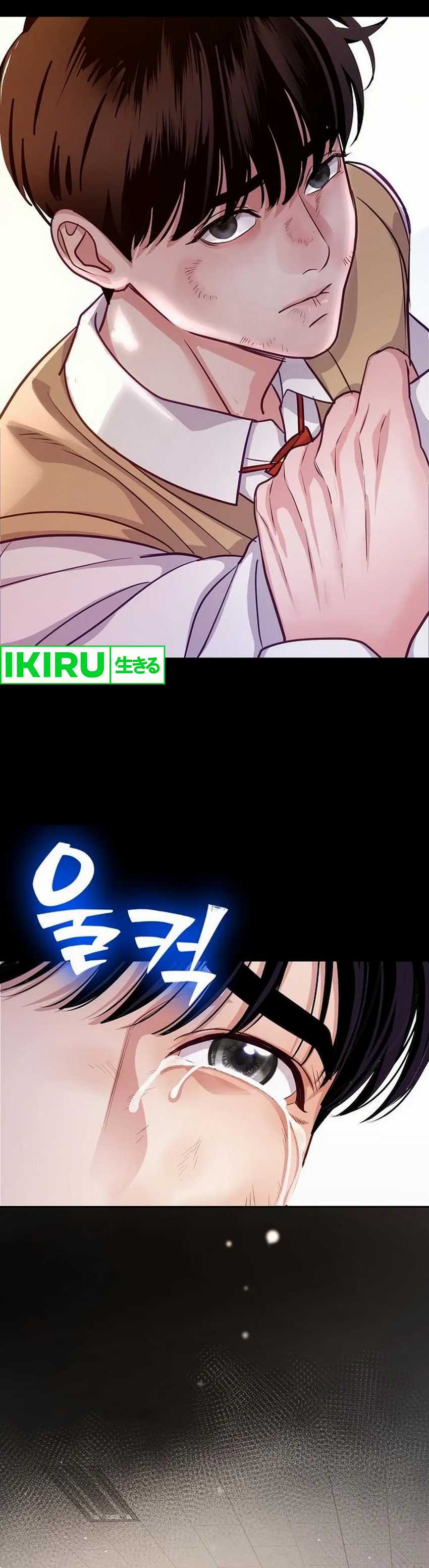 The Ordinary Lawyer’s Subspace Chapter 06