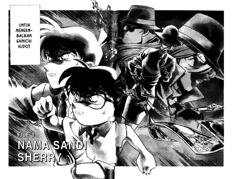 Detective Conan Chapter 178
