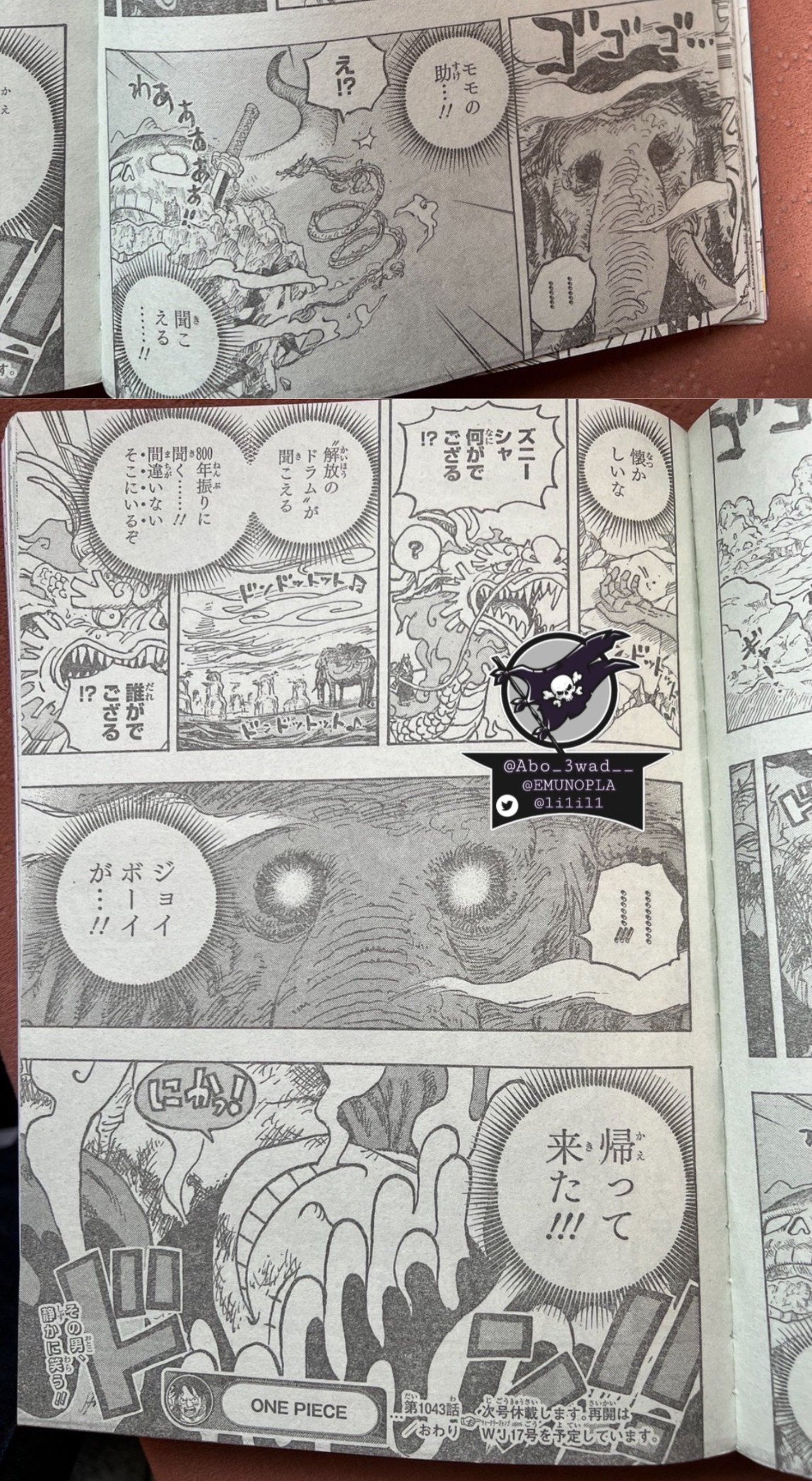 One Piece Chapter 1043 lq