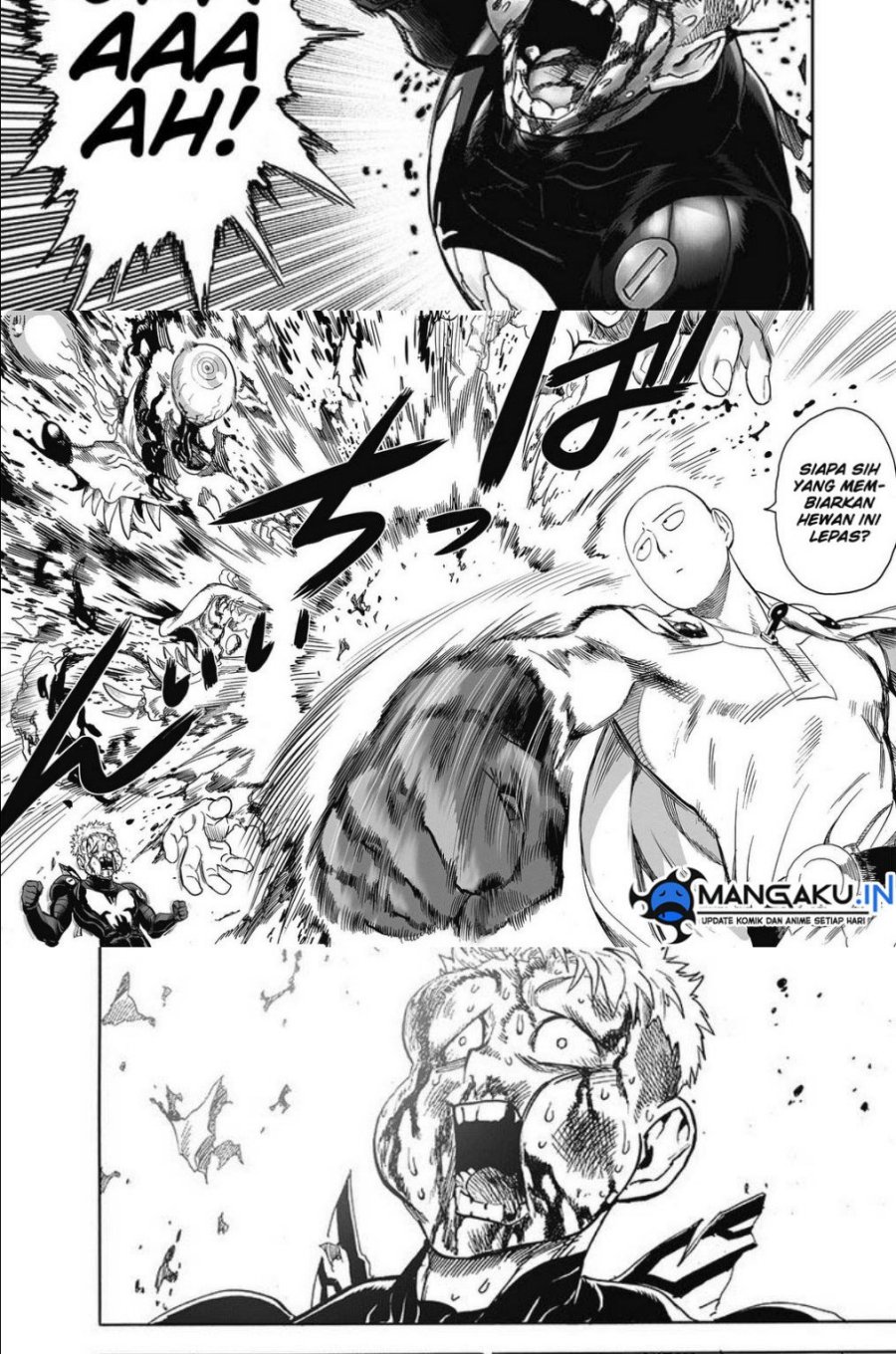 One Punch Man Chapter 237.2