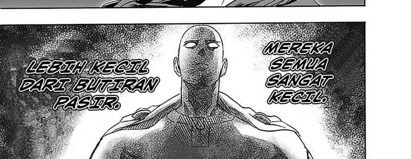 One Punch Man Chapter 247