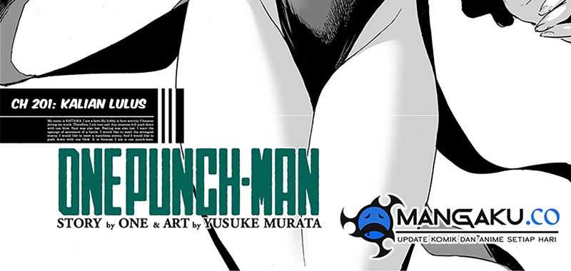 One Punch Man Chapter 252.10