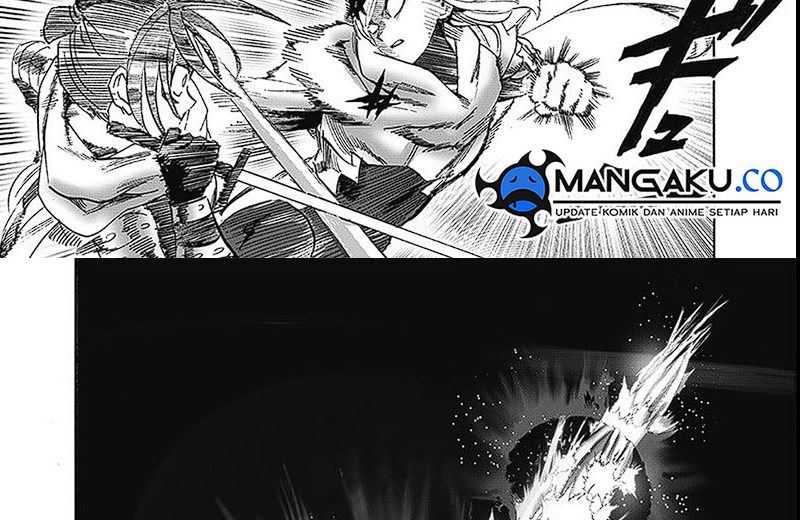 One Punch Man Chapter 252.7