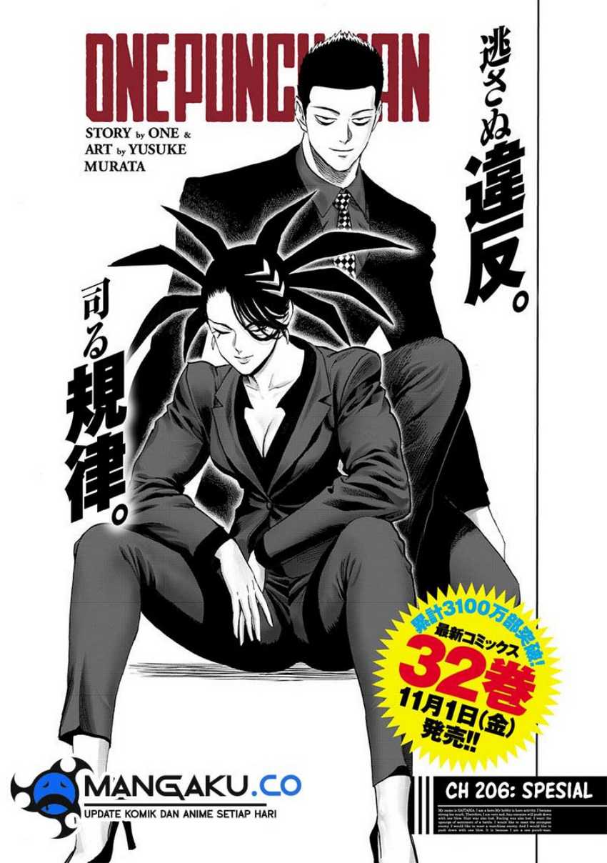 One Punch Man Chapter 256