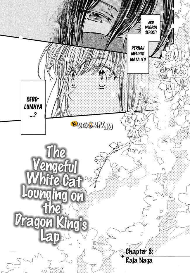 The Vengeful White Cat Lounging on the Dragon King’s Lap Chapter 08