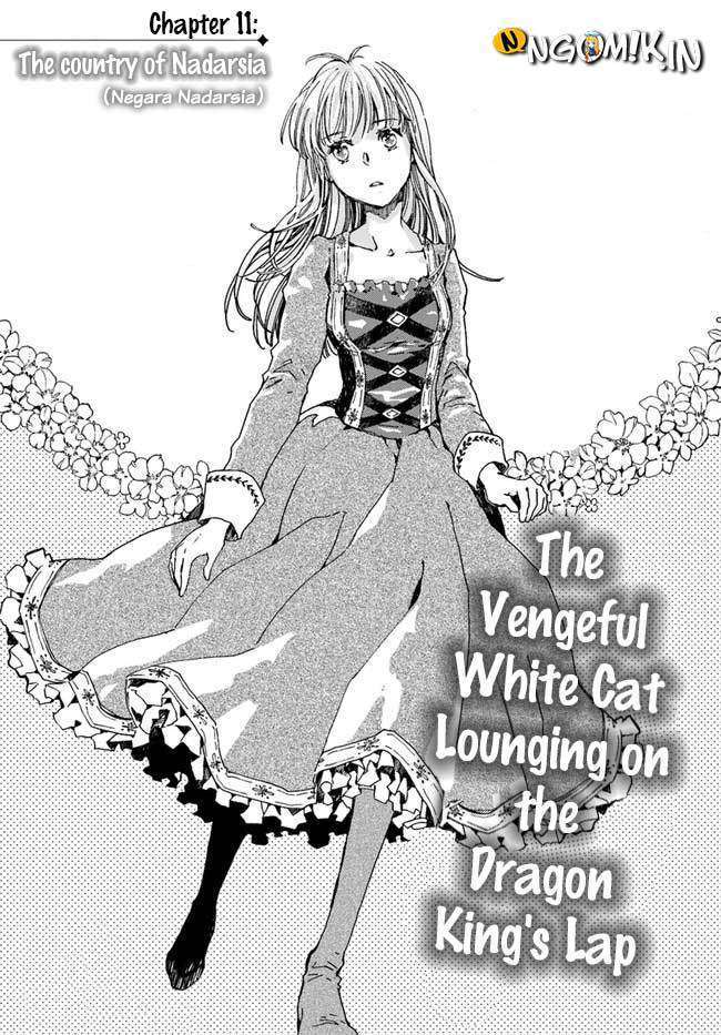 The Vengeful White Cat Lounging on the Dragon King’s Lap Chapter 11