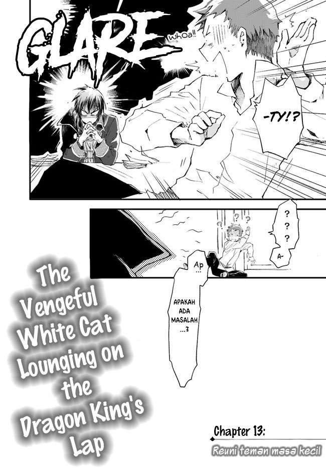 The Vengeful White Cat Lounging on the Dragon King’s Lap Chapter 13