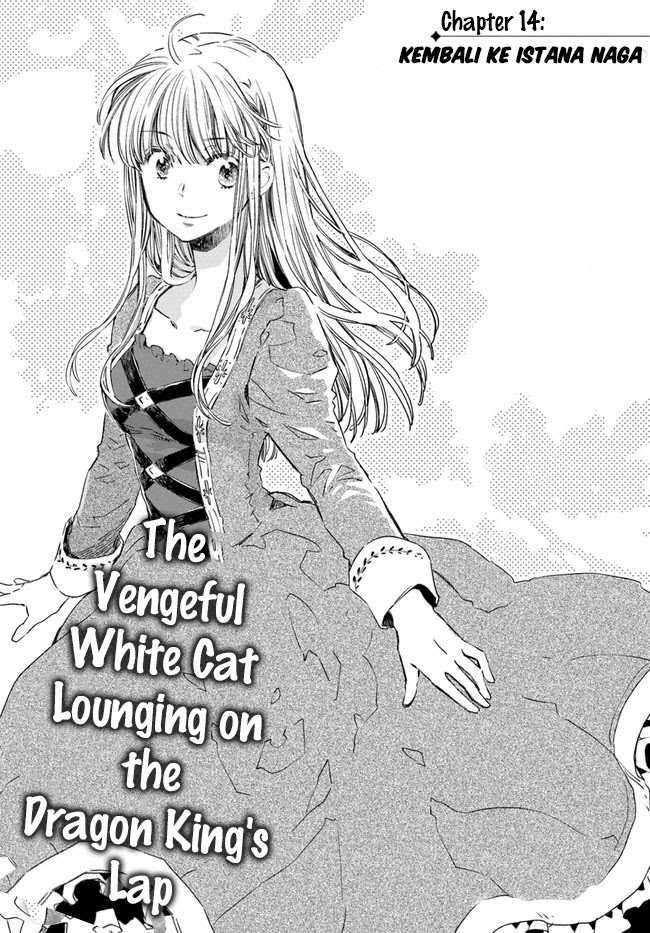 The Vengeful White Cat Lounging on the Dragon King’s Lap Chapter 14