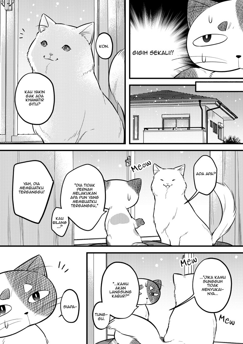 The Story of a Cat That Has Lived for 100 Years Chapter 00