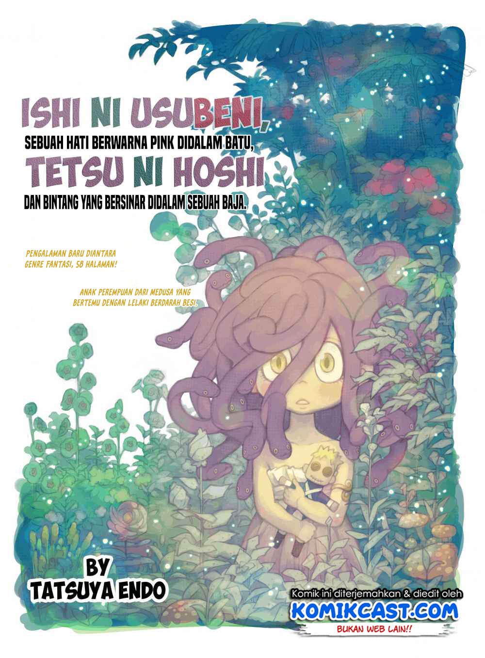 Ishi ni Usubeni, Tetsu ni Hoshi Chapter 00