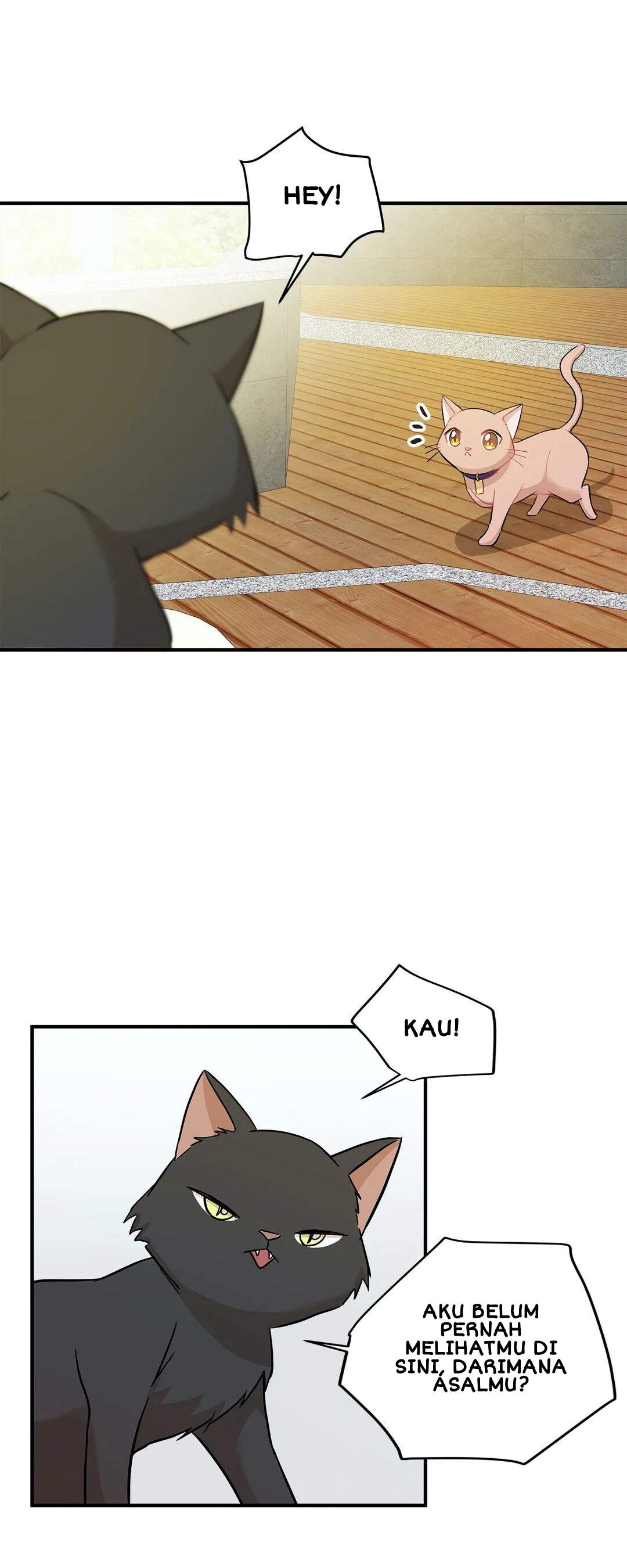 Just for a Meowment Chapter 21