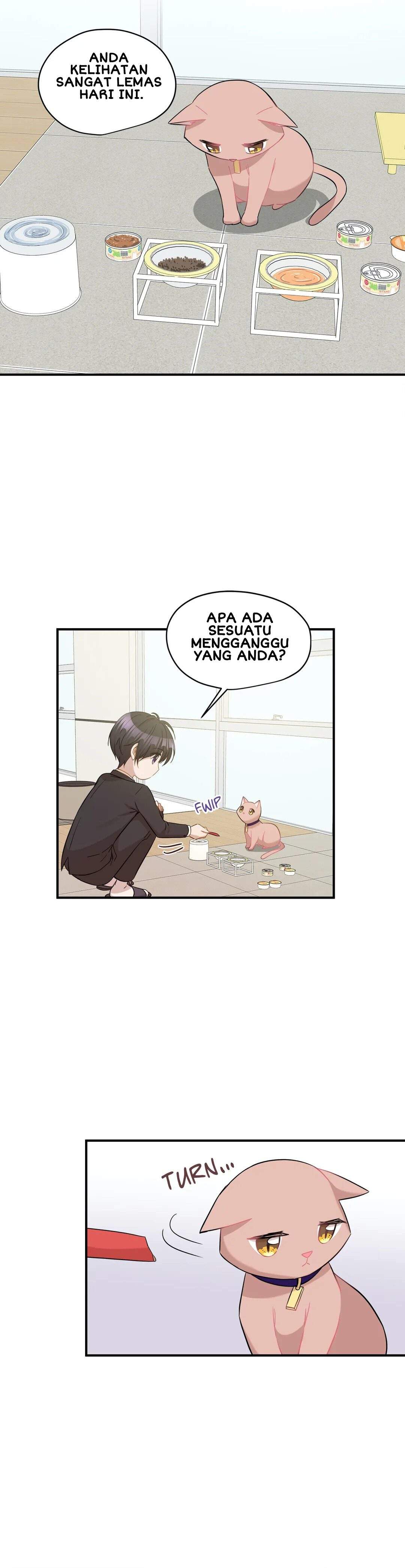 Just for a Meowment Chapter 30