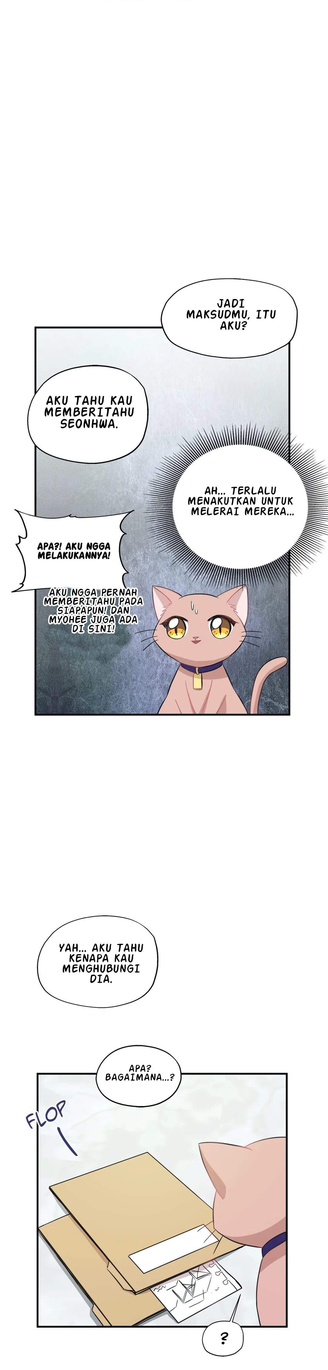 Just for a Meowment Chapter 37