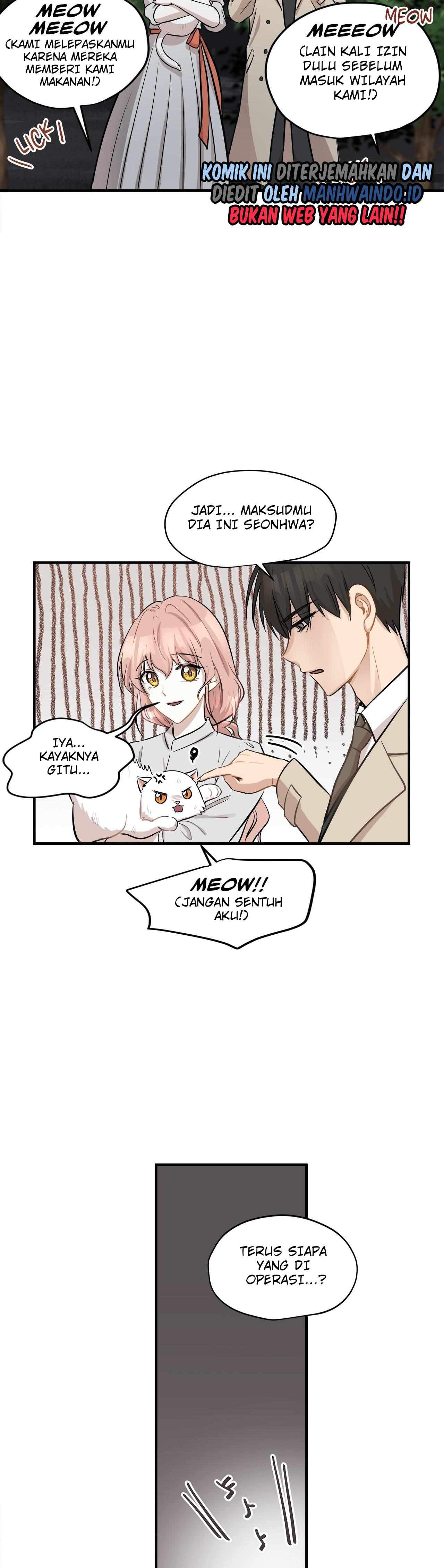 Just for a Meowment Chapter 44