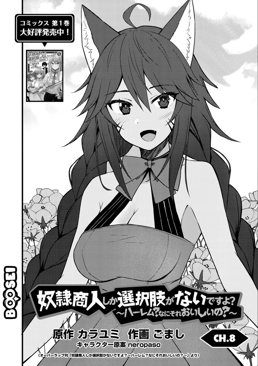 Dorei Shounin shika Sentakushi ga nai desu yo? ~Harem? Nani sore oishii no?~ Chapter 09