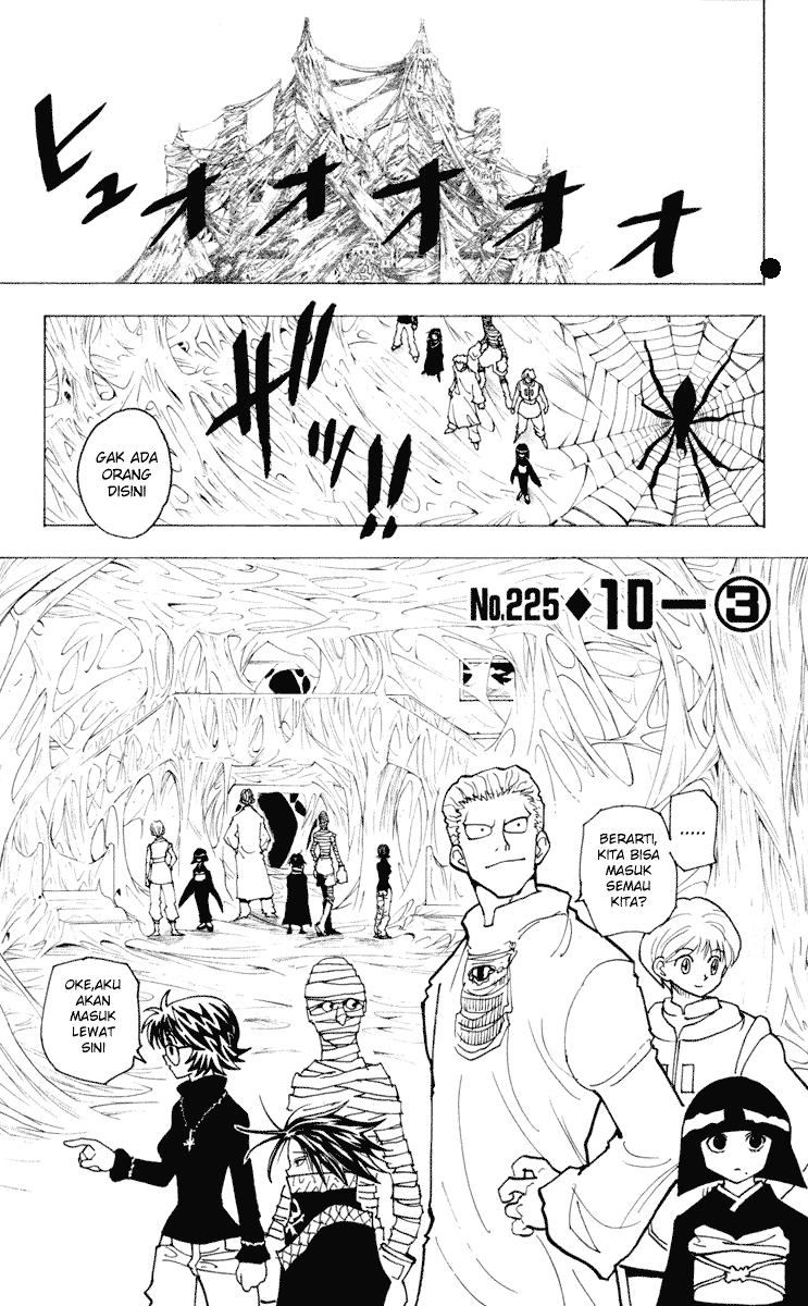 Hunter x Hunter Chapter 225