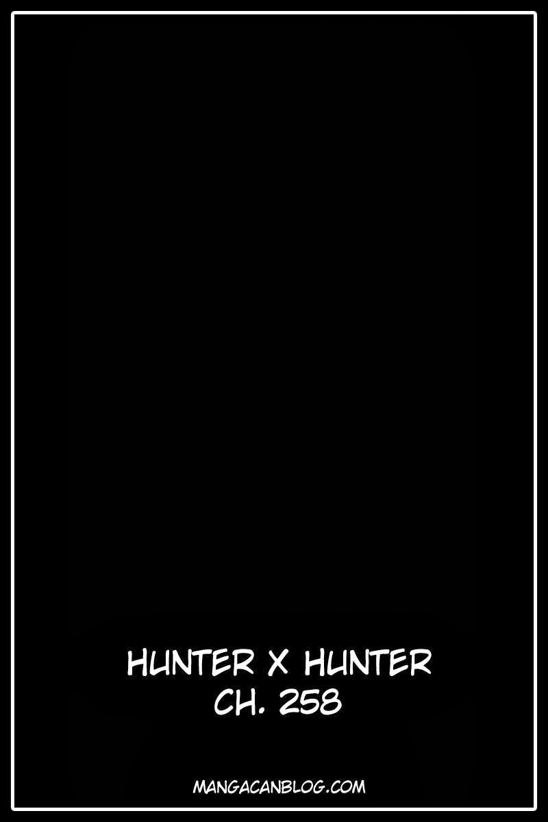 Hunter x Hunter Chapter 258