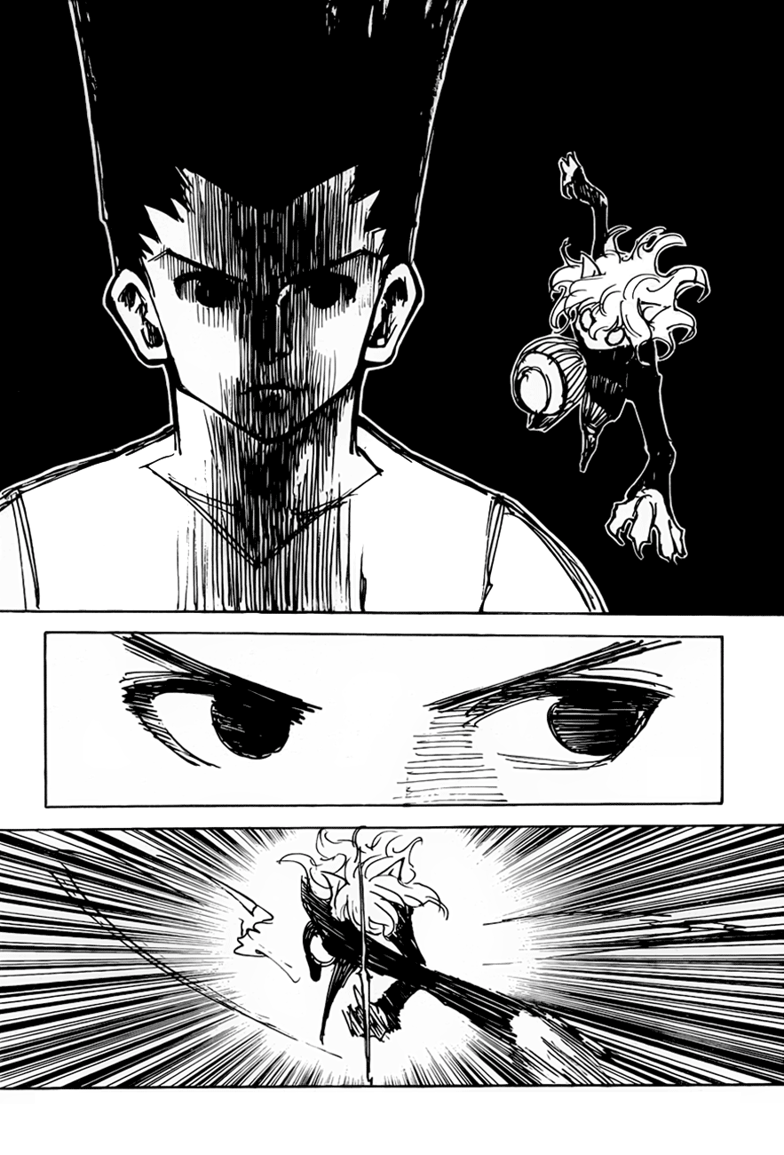 Hunter x Hunter Chapter 306