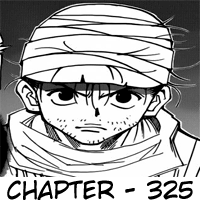 Hunter x Hunter Chapter 325