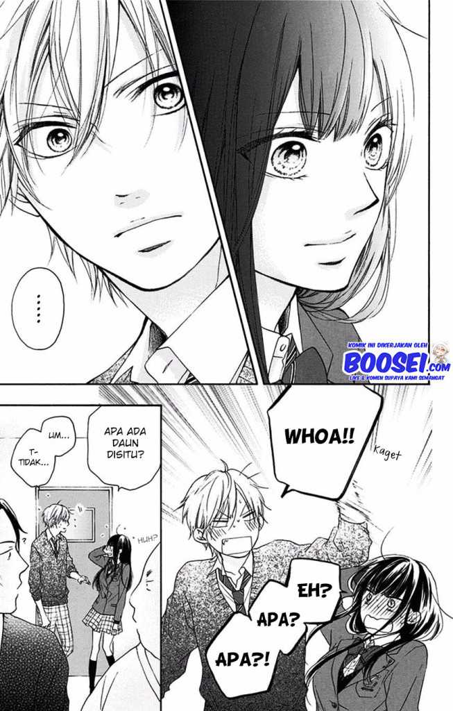 Kono Oto Tomare! Chapter 56