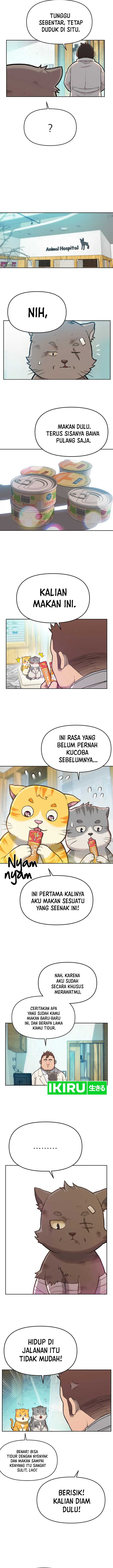 Rainbow Bridge Watchman Chapter 14