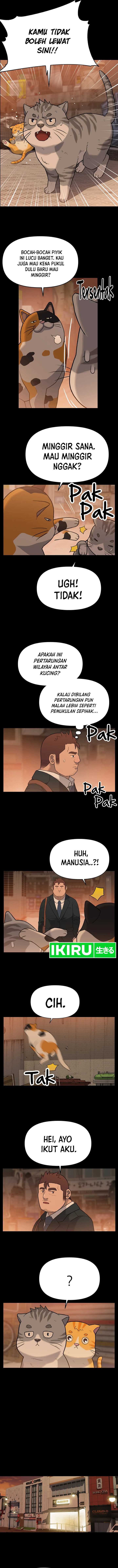 Rainbow Bridge Watchman Chapter 14
