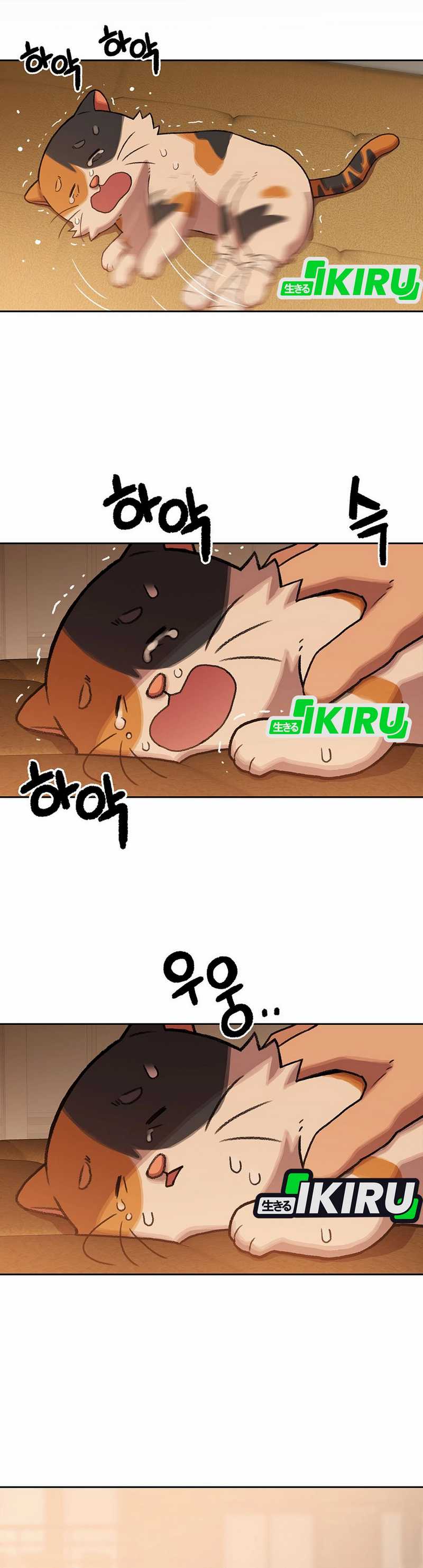 Rainbow Bridge Watchman Chapter 151