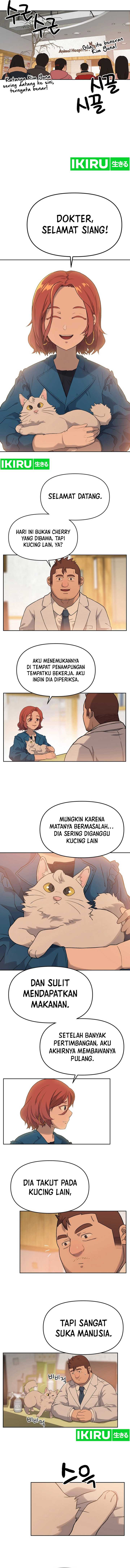 Rainbow Bridge Watchman Chapter 17