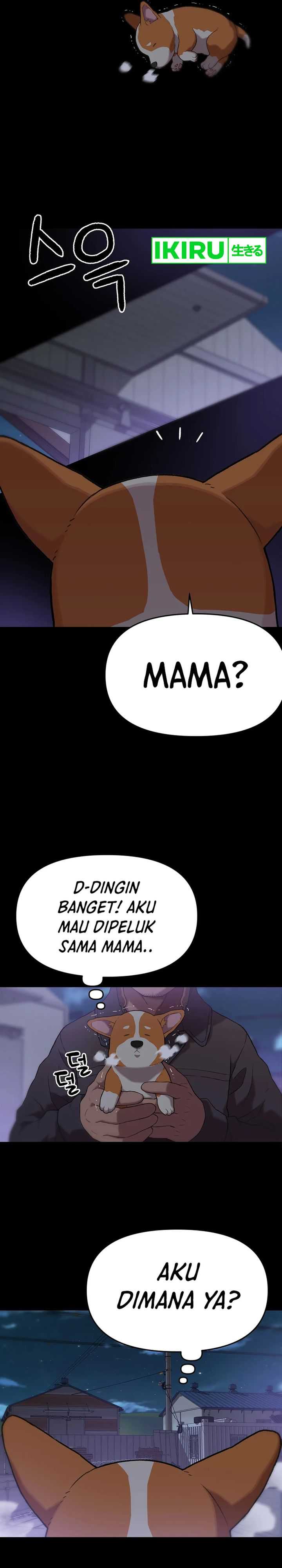 Rainbow Bridge Watchman Chapter 46