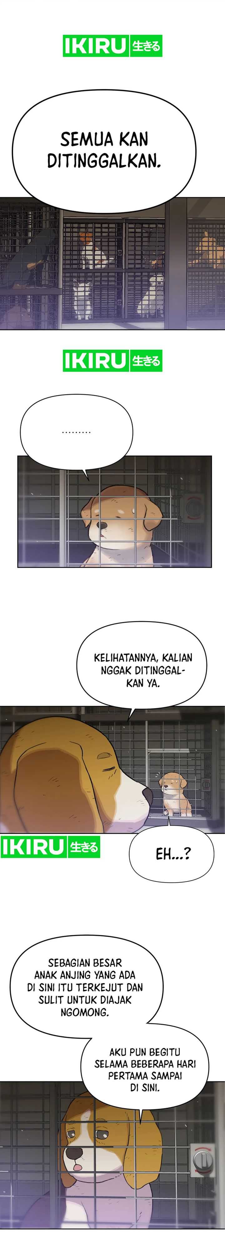 Rainbow Bridge Watchman Chapter 48